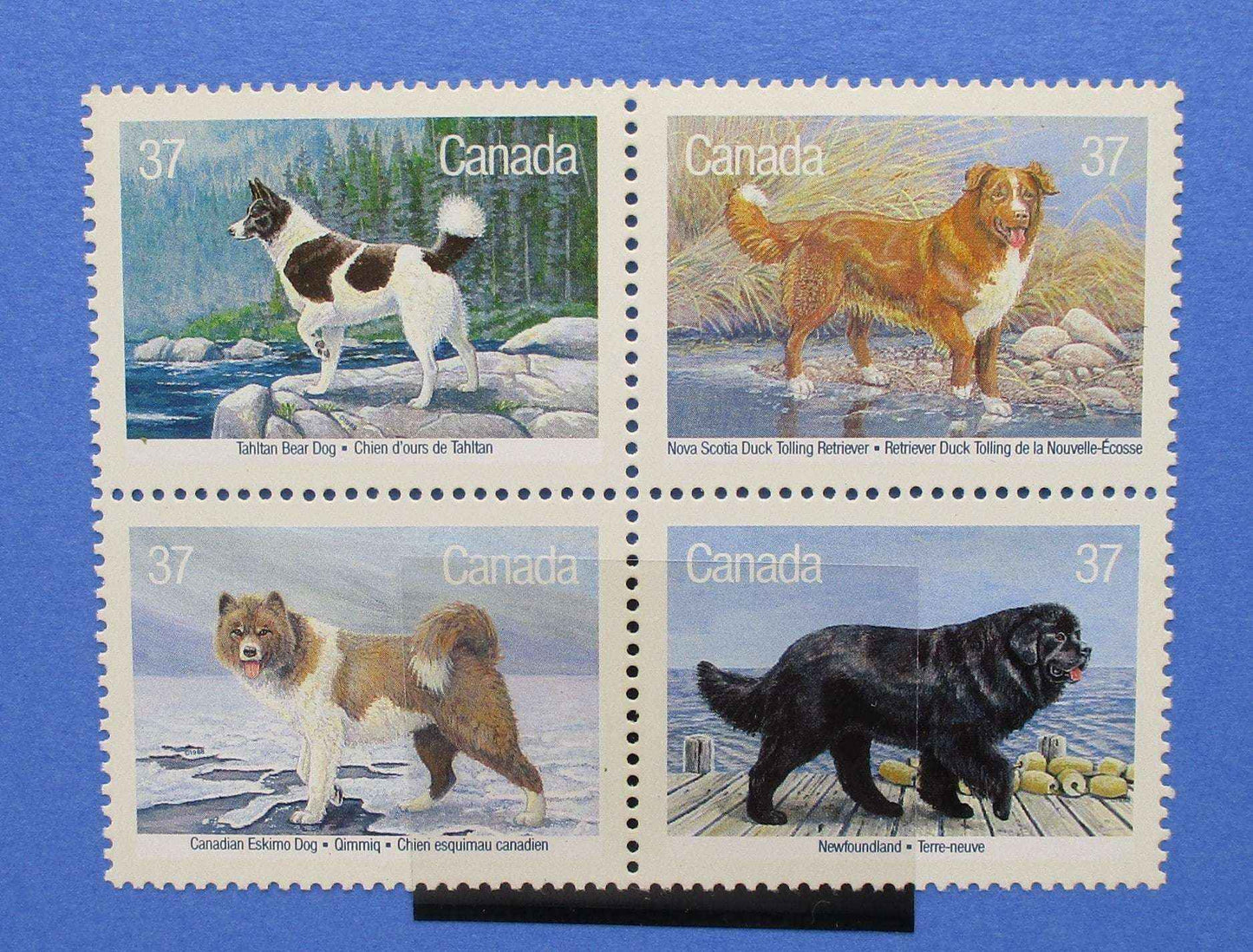 Canada Stamps, 1988, SG1303a, Mint - Manor Stamps