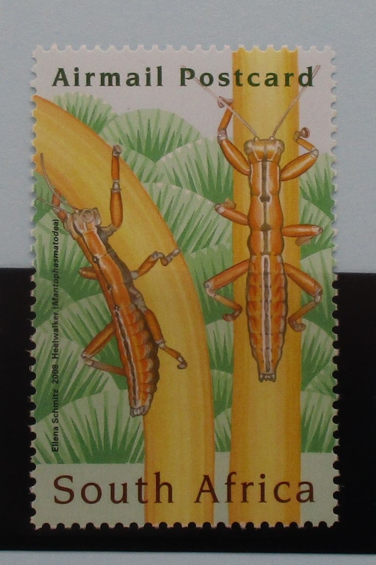South Africa Stamps, 2008, SG1662, Mint image 0