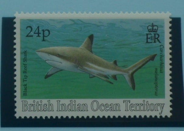 British Indian Ocean Territory Stamps, 1994, SG157, Mint image 0