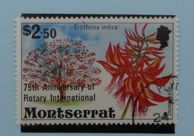 Montserrat Stamps, 1980, SG467, Used image 0