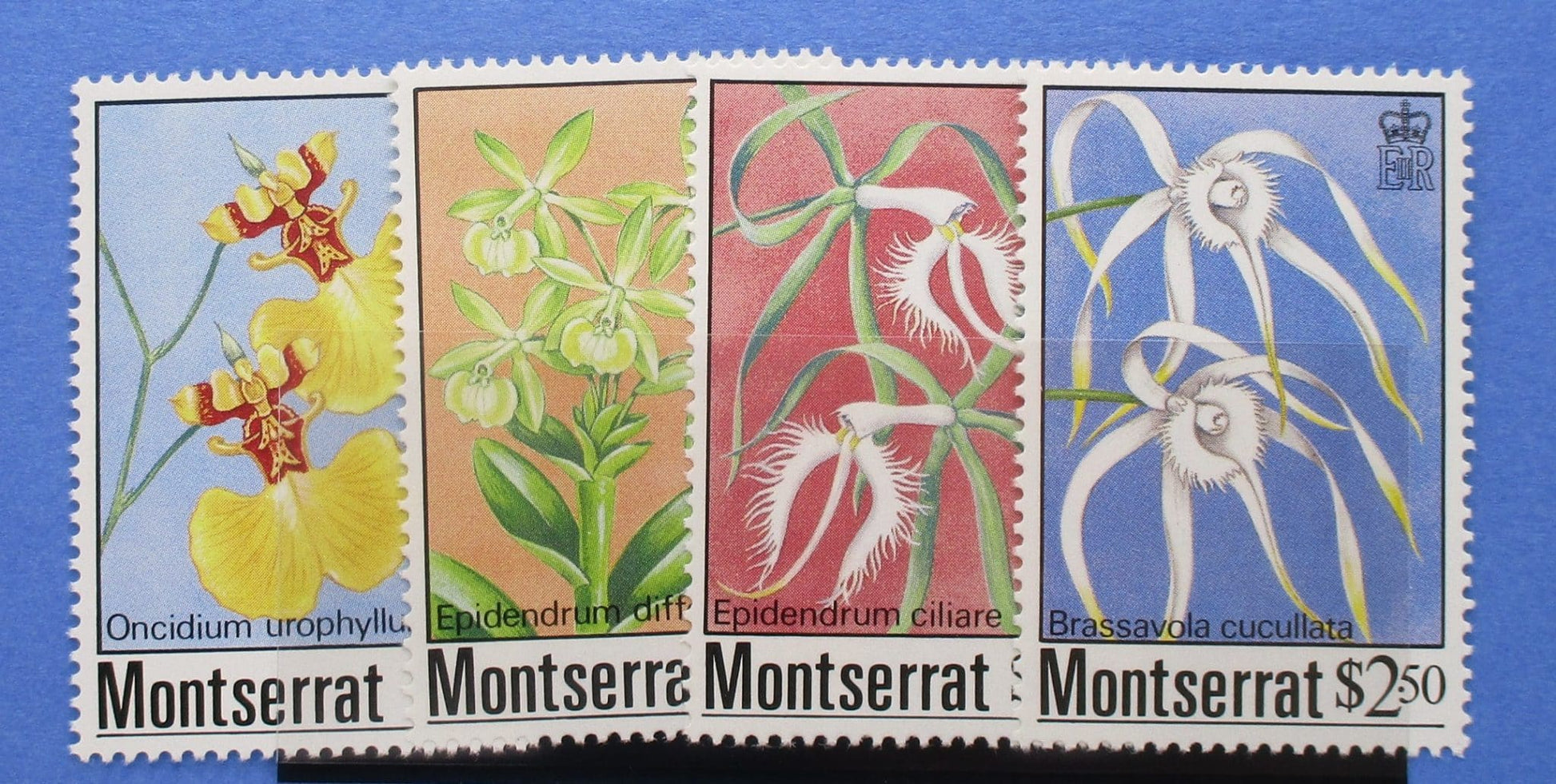 Montserrat Stamps, 1985, SG631-634, Mint image 0