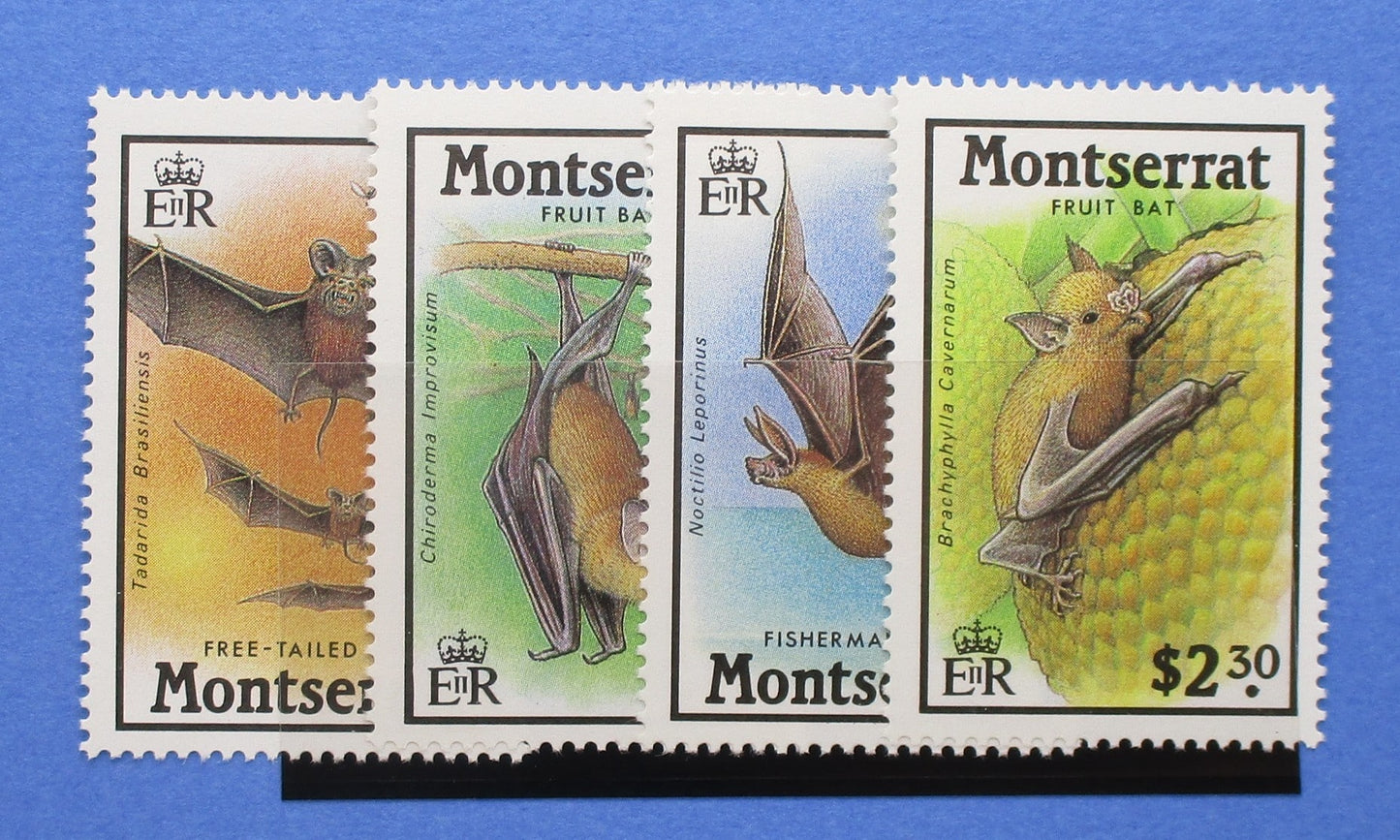 Montserrat Stamps, 1988, SG743-746, Mint image 0