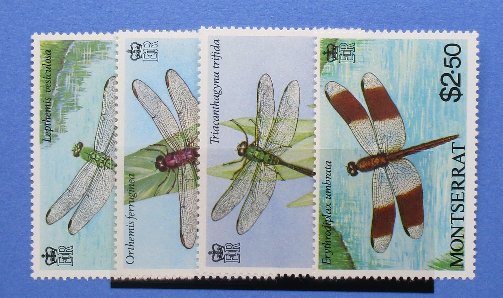 Montserrat Stamps, 1983, SG551-554, Mint image 0