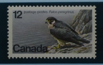 Canada Stamps, 1978, SG906, Mint image 0