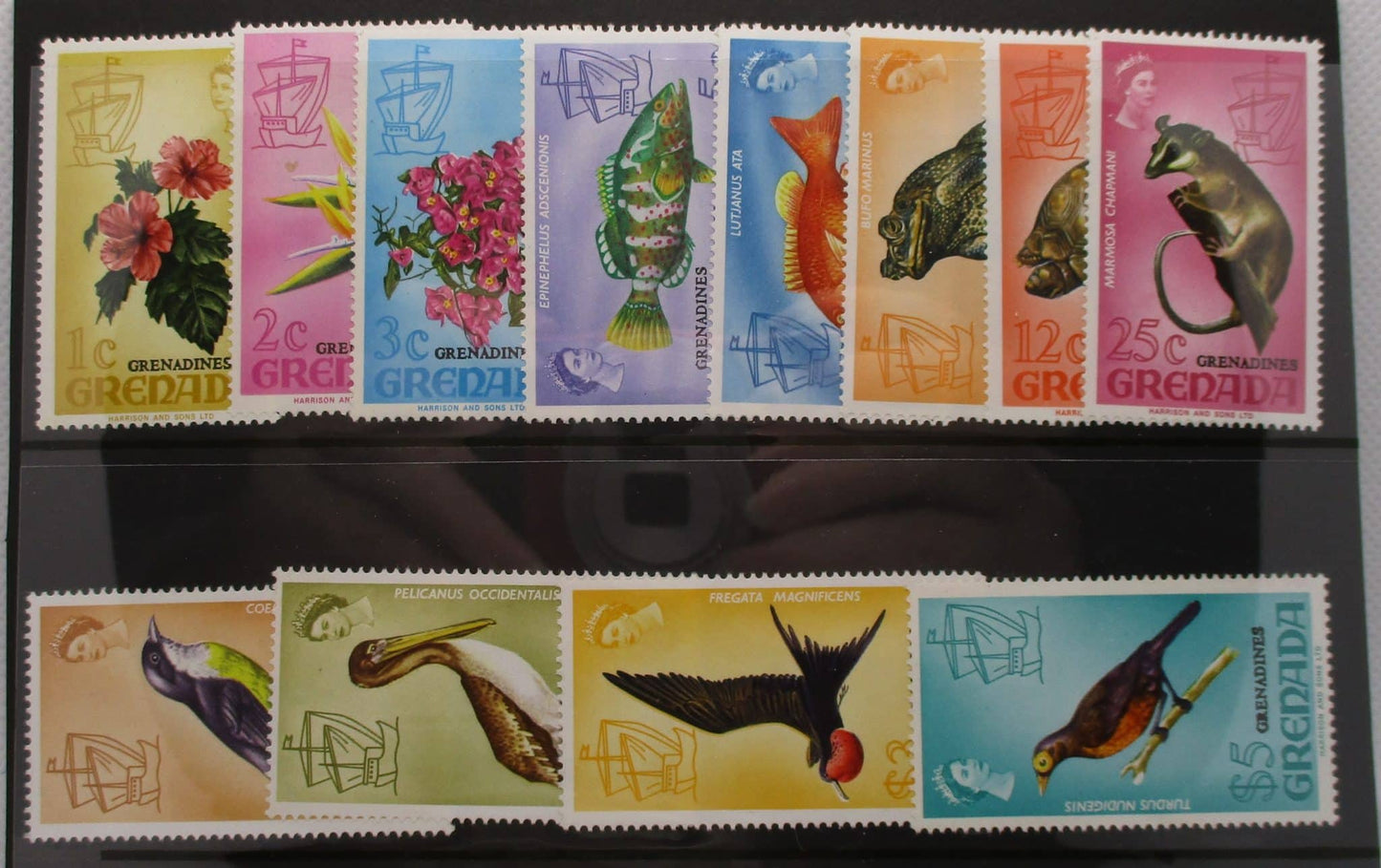 Grenadines of Grenada Stamps, 1974, SG4-15, Mint image 0