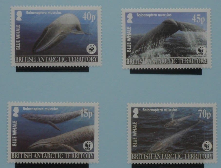 British Antarctic Territory Stamps, 2003, SG361-364, Mint image 0