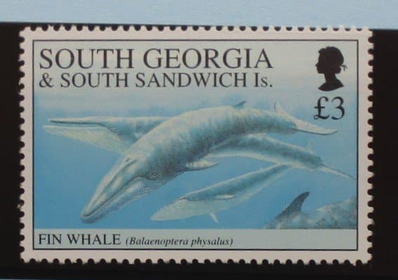 South Georgia and South Sandwich Islands Stamps, 1994, SG241, Mint image 0