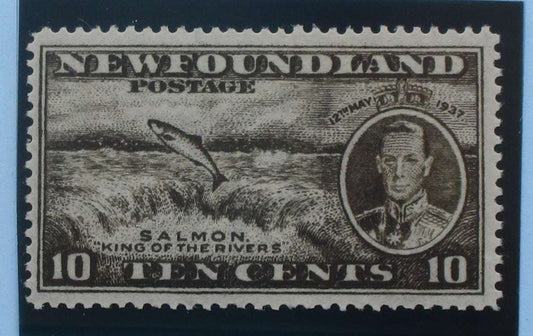 Newfoundland Stamps, 1937, SG261, Mint image 0