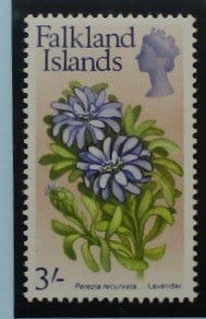 Falkland Islands Stamps, 1968, SG243, Mint image 0