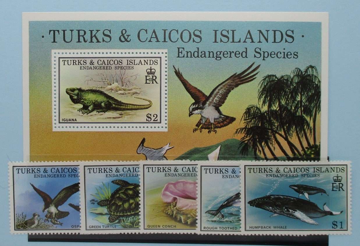 Turks and Caicos Islands Stamps, 1979, SG534-538, MS539, Mint image 0